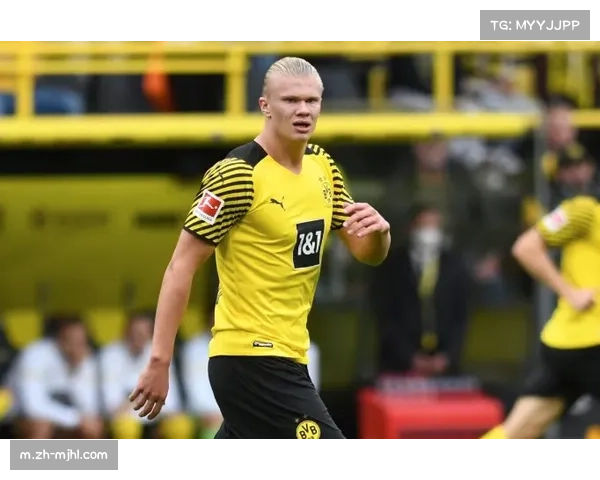 多特蒙德数据驱动战术调整 放弃控球主打精准长传反击